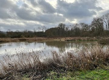 belgium/leuven/attraction/egenhovenbos