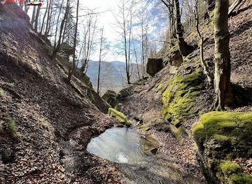 romania/gorj/attraction/cascada-firizoni
