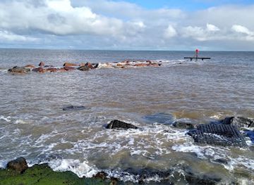 united-kingdom/southwold/attraction/lowestoft-ness-point
