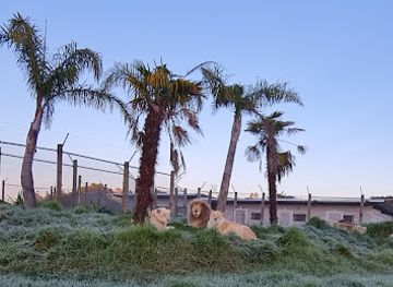 new-zealand/northland/attraction/kamo-wildlife-sanctuary