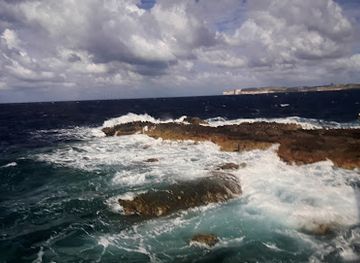 malta/mellieha/attraction/cristian-s-alligator