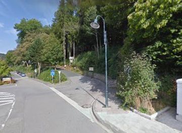 luxembourg/clervaux/attraction/wildpark-clervaux