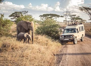 tanzania/moshi/attraction/generous-african-safari-tanzania-tour-operators-trek-climb-kilimanjaro-4-6-days-serengeti-migration-zanzibar-beaches-tours
