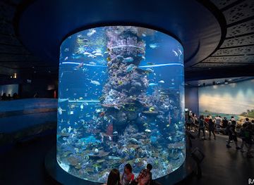 singapore/sentosa/attraction/marine-life-park