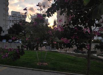 israel/herzliya/attraction/park-tzmarot-extreme