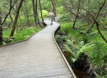 united-kingdom/stirlingshire/attraction/the-lodge-forest-visitor-centre