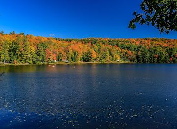 vermont/rutland-county/attraction/half-moon-pond-state-park