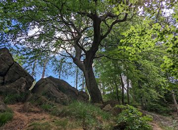 germany/harz-national-park/attraction/rudolfklippe