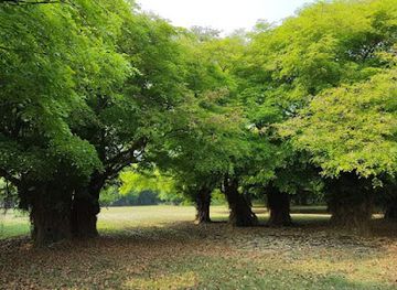 bangladesh/sylhet/attraction/phultai-chol-gram/mayabini-haor