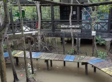 Viewing Jetty of Tanjung Piai National Park