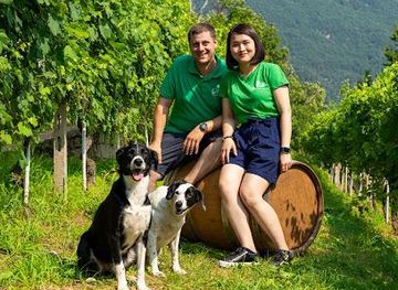 switzerland/locarno/attraction/azienda-vitivinicola-edoardo-patrone