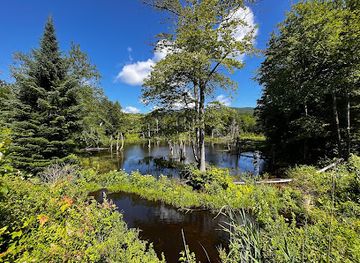 canada/eastern-townships/attraction/reserve-naturelle-des-montagnes-vertes-secteur-singer