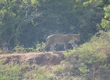 sri-lanka/ruhuna/attraction/ruhuna-national-park