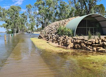 australia/riverland/attraction/murray-bridge-bunyip