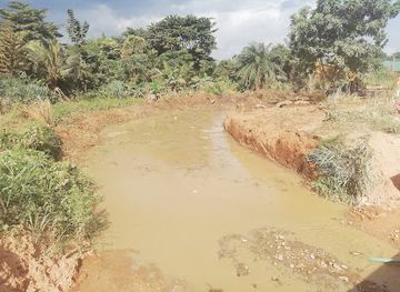 nigeria/iita-forest-reserve/attraction/mo-niya-motor-park