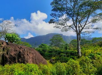 sri-lanka/ratnapura-district/attraction/kiribathgala-mountain
