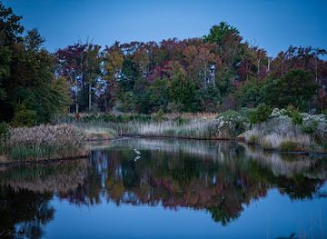 delaware/middletown/attraction/bombay-hook-national-wildlife-refuge