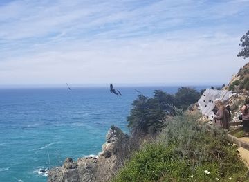 california/big-sur/attraction/redwood-deck