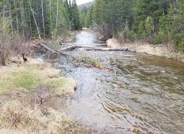 colorado/estes-park/attraction/colorado-river-trail