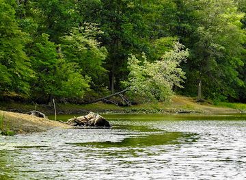 pennsylvania/allegheny-national-forest/attraction/yellow-creek-state-park