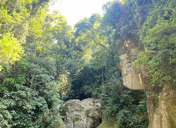 honduras/cusuco-national-park/attraction/poza-del-duende