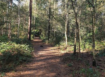 netherlands/veluwe/attraction/leuvenhorst
