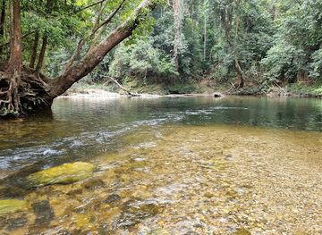 malaysia/taman-negara-national-park/attraction/kelah-sanctuary-sungai-juram