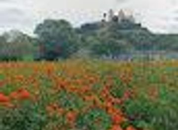 mexico/puebla/attraction/campos-de-cempasuchitl
