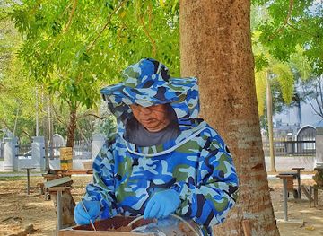 malaysia/terengganu/attraction/umt-kelulut-garden