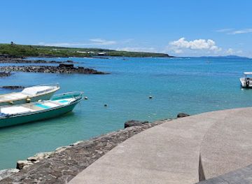 ecuador/galapagos-islands/attraction/santa-cruz-island