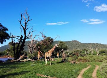 kenya/shaba-national-reserve/attraction/samburu-national-reserve