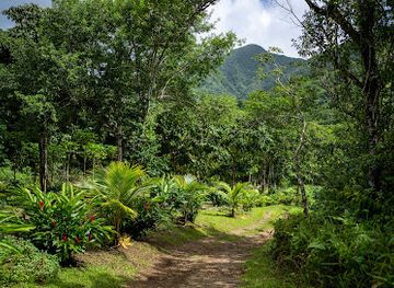 saint-kitts-and-nevis/pinney-s-beach/attraction/liamuiga-natural-farm