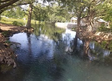 texas/new-braunfels/attraction/founders-oak