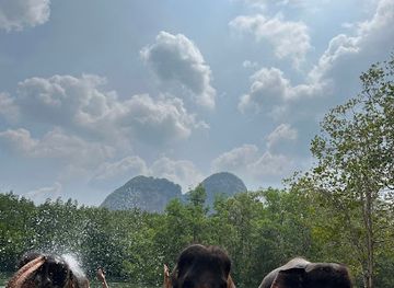 thailand/krabi-province/attraction/krabi-elephant-shelter