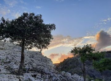 aruba/mangel-halto/attraction/rooi-tambu-trail