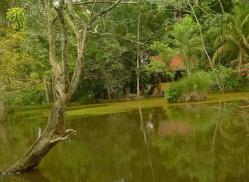 peru/ucayali/attraction/turistico-biokuka-botanical-garden