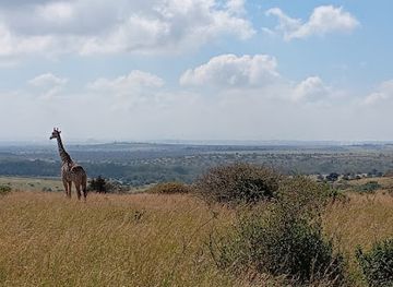 kenya/nairobi/attraction/nairobi-national-park