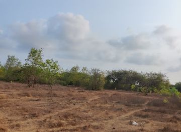 india/tarkarli/attraction/revandi-ozar