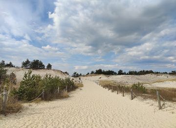 poland/słowiński-national-park/attraction/wydmy-przy-plazy-w-slowinskim-parku-narodowym