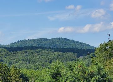 vermont/camel-s-hump-state-park/attraction/cady-hill-forest