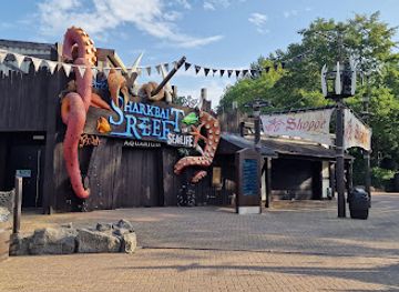 united-kingdom/staffordshire/attraction/sharkbait-reef