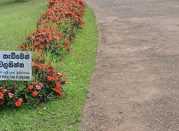 sri-lanka/adam-s-peak/attraction/mulgama-seethagangula-uda-ella