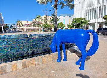 aruba/eagle-beach/attraction/tranvia-aruba