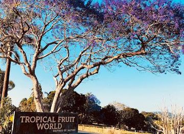 australia/gold-coast/attraction/tropical-fruit-world