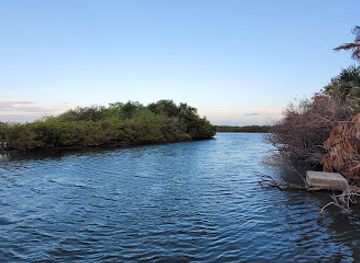 florida/cocoa-beach/attraction/bioluminescence-tours