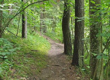 estonia/tartu-county/attraction/vapramae-nature-house