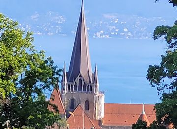 switzerland/vaud/attraction/hetre-pleureur-de-l-hermitage