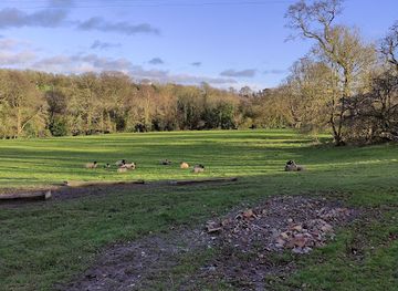 ireland/county-wexford/attraction/woodville-house-and-gardens