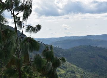 rwanda/nyungwe-forest-national-park/attraction/shyunda-mountain