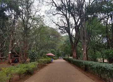The Nairobi Arboretum